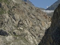 CH, Wallis, Riederalp, Grosser Aletschgletscher 34, Saxifraga-Willem van Kruijsbergen