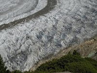 CH, Wallis, Riederalp, Grosser Aletschgletscher 42, Saxifraga-Willem van Kruijsbergen