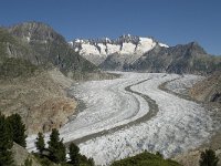 CH, Wallis, Riederalp, Grosser Aletschgletscher 43, Saxifraga-Willem van Kruijsbergen