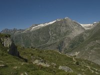 CH, Wallis, Riederalp, Sparrhorn 1, Saxifraga-Willem van Kruijsbergen