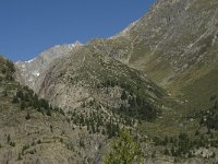 CH, Wallis, Riederalp, Talli 1, Saxifraga-Willem van Kruijsbergen