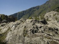 CH, Wallis, Riederalp, Ussers Aletsch 1, Saxifraga-Willem van Kruijsbergen