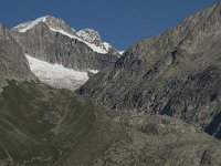 CH, Wallis, Riederalp, Wysshorn 1, Saxifraga-Willem van Kruijsbergen