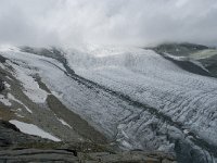 CH, Wallis, Saas Almagell, Allalingletscher 12, Saxifraga-Willem van Kruijsbergen