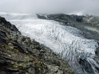 CH, Wallis, Saas Almagell, Allalingletscher 5, Saxifraga-Willem van Kruijsbergen