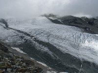 CH, Wallis, Saas Almagell, Allalingletscher 8, Saxifraga-Willem van Kruijsbergen