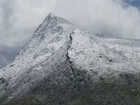 CH, Wallis, Saas Almagell, Galmenhorn 1, Saxifraga-Willem van Kruijsbergen