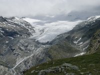 CH, Wallis, Saas Almagell, Schwarzberggletscher 2, Saxifraga-Willem van Kruijsbergen