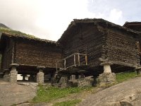 CH, Wallis, Saas Fee 6, Saxifraga-Willem van Kruijsbergen