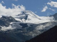 CH, Wallis, Saas Fee, Allalinhorn 1, Saxifraga-Willem van Kruijsbergen