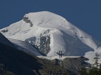 CH, Wallis, Saas Fee, Allalinhorn 3, Saxifraga-Willem van Kruijsbergen