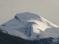 CH, Wallis, Saas Fee, Allalinhorn 4, Saxifraga-Willem van Kruijsbergen