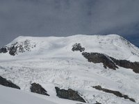 CH, Wallis, Saas Fee, Alphubel 1, Saxifraga-Willem van Kruijsbergen