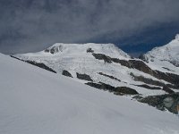 CH, Wallis, Saas Fee, Alphubel 2, Saxifraga-Willem van Kruijsbergen