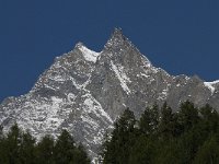 CH, Wallis, Saas Fee, Dom 1, Saxifraga-Willem van Kruijsbergen