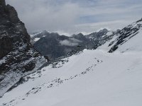 CH, Wallis, Saas Fee, Egginerjoch 1, Saxifraga-Willem van Kruijsbergen