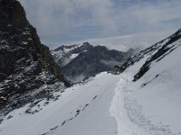 CH, Wallis, Saas Fee, Egginerjoch 2, Saxifraga-Willem van Kruijsbergen