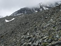 CH, Wallis, Saas Fee, Egginerjoch 7, Saxifraga-Willem van Kruijsbergen