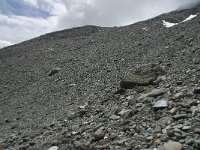 CH, Wallis, Saas Fee, Egginerjoch 9, Saxifraga-Willem van Kruijsbergen