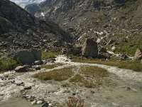 CH, Wallis, Saas Fee, Feegletscher 101, Saxifraga-Willem van Kruijsbergen