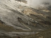 CH, Wallis, Saas Fee, Feegletscher 19, Saxifraga-Willem van Kruijsbergen