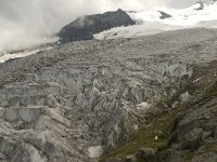 CH, Wallis, Saas Fee, Feegletscher 20, Saxifraga-Willem van Kruijsbergen