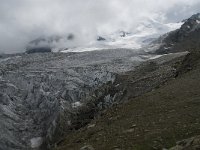 CH, Wallis, Saas Fee, Feegletscher 27, Saxifraga-Willem van Kruijsbergen