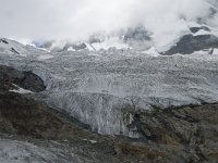 CH, Wallis, Saas Fee, Feegletscher 36, Saxifraga-Willem van Kruijsbergen