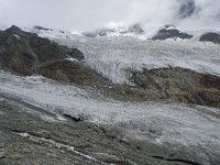 CH, Wallis, Saas Fee, Feegletscher 39, Saxifraga-Willem van Kruijsbergen