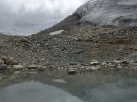 CH, Wallis, Saas Fee, Feegletscher 48, Saxifraga-Willem van Kruijsbergen