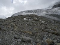 CH, Wallis, Saas Fee, Feegletscher 49, Saxifraga-Willem van Kruijsbergen