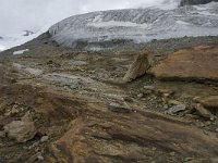 CH, Wallis, Saas Fee, Feegletscher 51, Saxifraga-Willem van Kruijsbergen