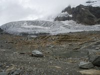 CH, Wallis, Saas Fee, Feegletscher 53, Saxifraga-Willem van Kruijsbergen