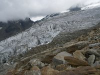 CH, Wallis, Saas Fee, Feegletscher 58, Saxifraga-Willem van Kruijsbergen