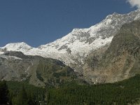 CH, Wallis, Saas Fee, Feegletscher 70, Saxifraga-Willem van Kruijsbergen