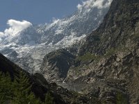 CH, Wallis, Saas Fee, Feegletscher 88, Saxifraga-Willem van Kruijsbergen