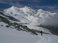 CH, Wallis, Saas Fee, Felskinn 13, Saxifraga-Willem van Kruijsbergen