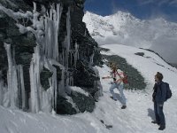 CH, Wallis, Saas Fee, Felskinn 18, Saxifraga-Willem van Kruijsbergen