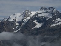 CH, Wallis, Saas Fee, Felskinn 7,  Saxifraga-Willem van Kruijsbergen