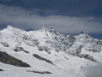 CH, Wallis, Saas Fee, Felskinn 9, Saxifraga-Willem van Kruijsbergen