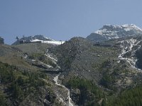 CH, Wallis, Saas Fee, Hinter Allalin 1, Saxifraga-Willem van Kruijsbergen