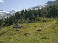 CH, Wallis, Saas Fee, Hinter den Zaunen 1, Saxifraga-Willem van Kruijsbergen