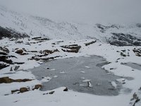 CH, Wallis, Saas Fee, Laengflue 13, Saxifraga-Willem van Kruijsbergen