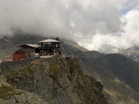 CH, Wallis, Saas Fee, Langflue 1, Saxifraga-Willem van Kruijsbergen