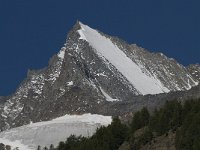 CH, Wallis, Saas Fee, Lenzspitze 1, Saxifraga-Willem van Kruijsbergen