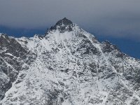 CH, Wallis, Saas Fee, Lenzspitze 2, Saxifraga-Willem van Kruijsbergen