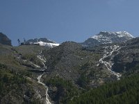 CH, Wallis, Saas Fee, Morenia 6, Saxifraga-Willem van Kruijsbergen