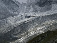 CH, Wallis, Saas Fee, Morenia 7, Saxifraga-Willem van Kruijsbergen