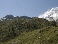 CH, Wallis, Saas Fee, Spielboden-Langflue 5, Saxifraga-Willem van Kruijsbergen