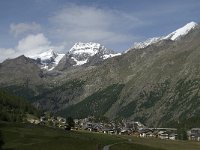 CH, Wallis, Saas Fee, Weissmies 1, Saxifraga-Willem van Kruijsbergen